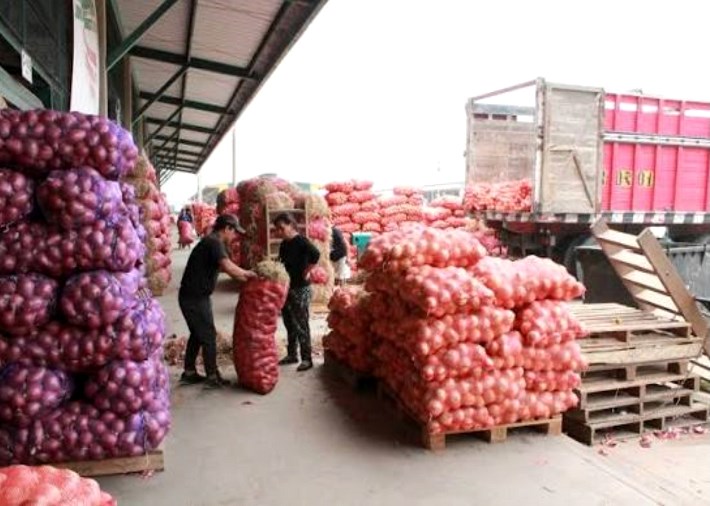 LEY N.° 26569 Establecen mecanismos aplicables a la transferencia de puestos y demás establecimientos y/o servicios de los mercados públicos de propiedad de los municipios