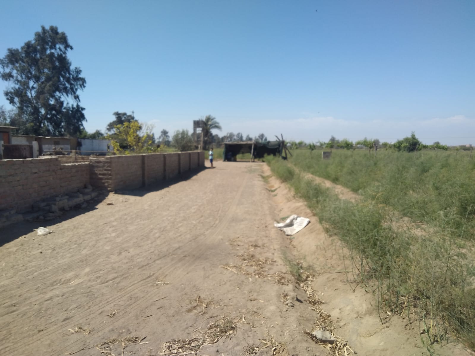 Terreno en venta de 12 HAS en san Andrés - Pisco
