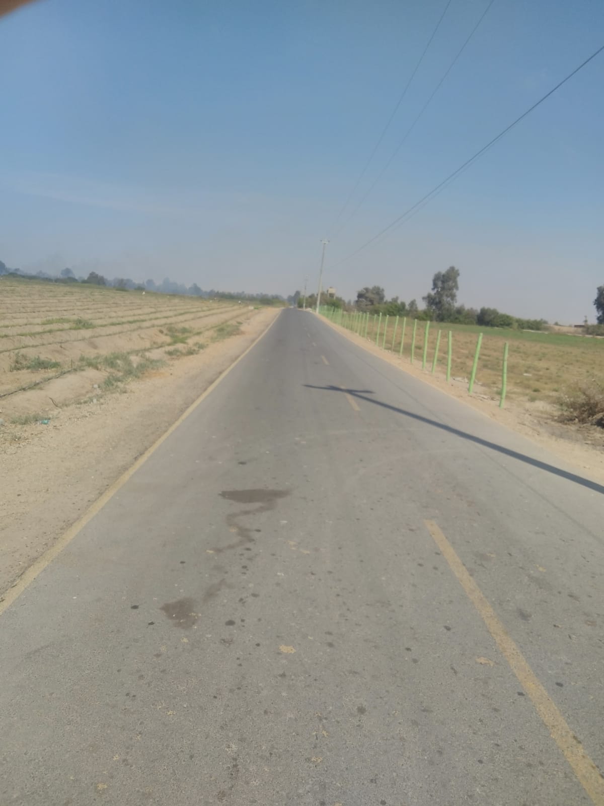 Terreno en venta de 12 HAS en san Andrés - Pisco