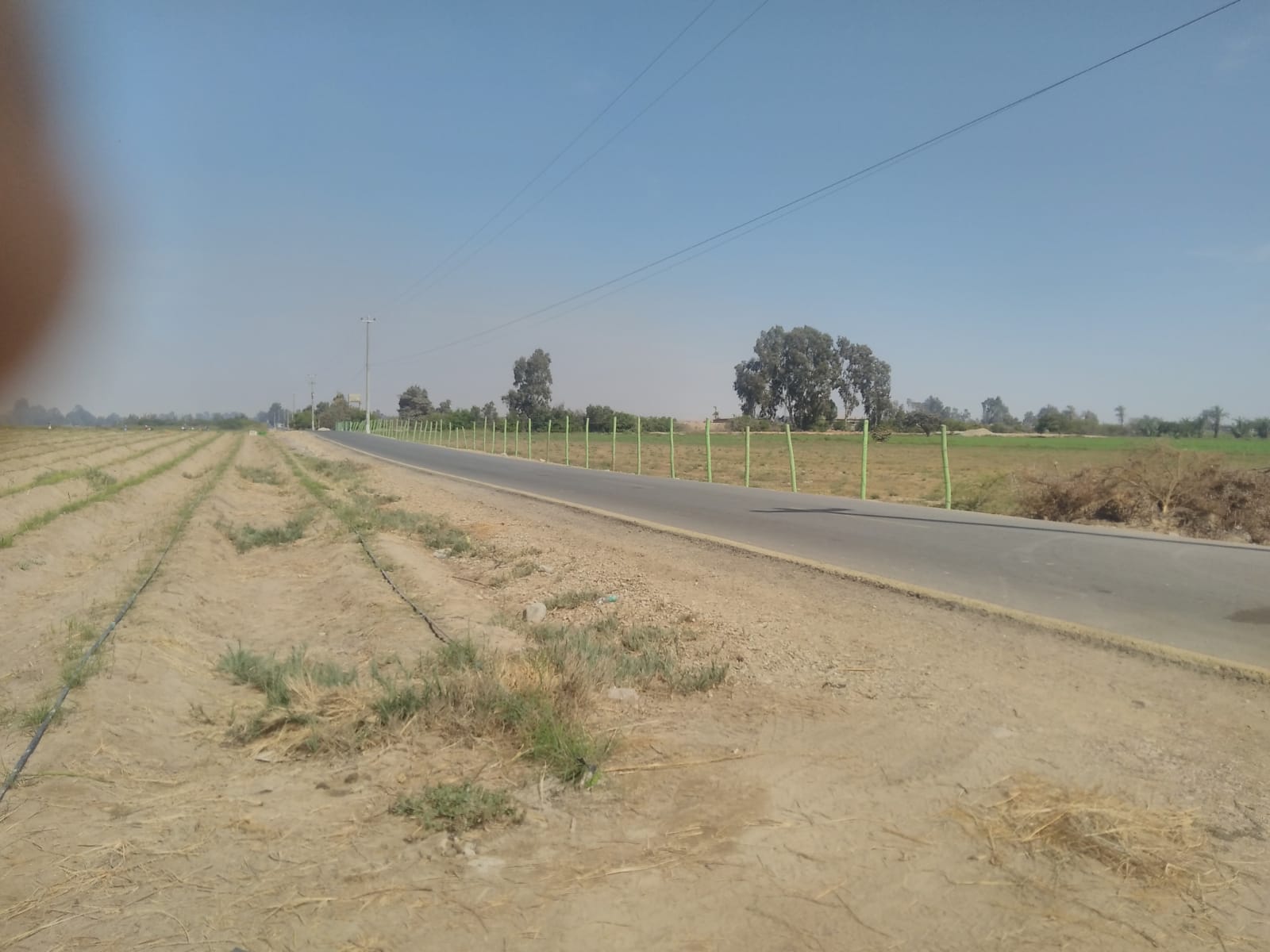 Terreno en venta de 12 HAS en san Andrés - Pisco