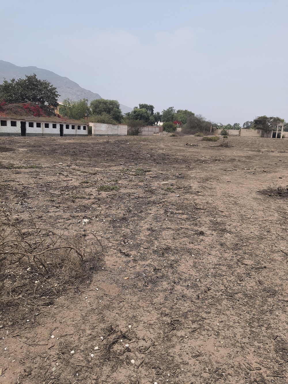 Vendo Terreno en Pachacamac