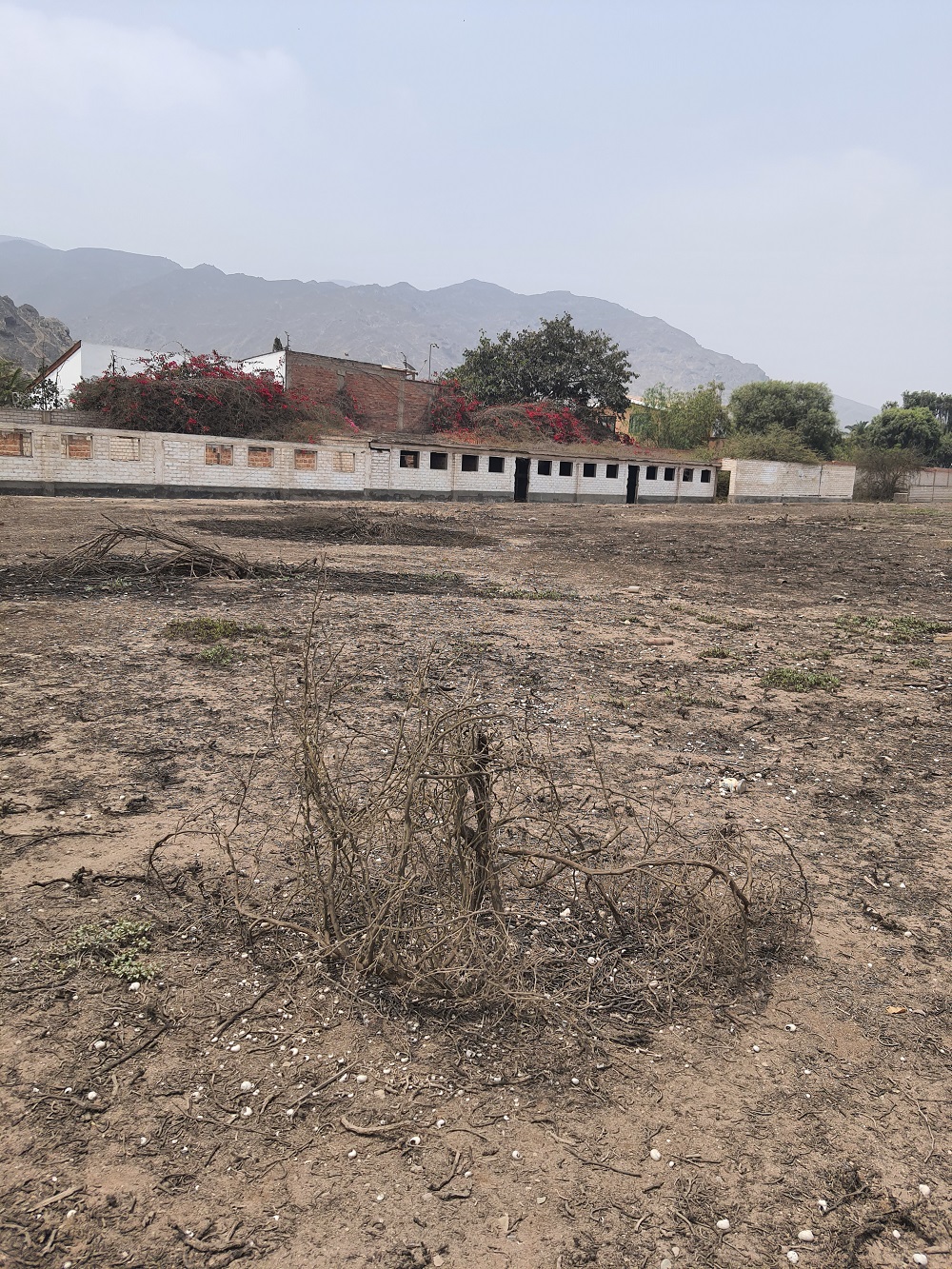 Vendo Terreno en Pachacamac