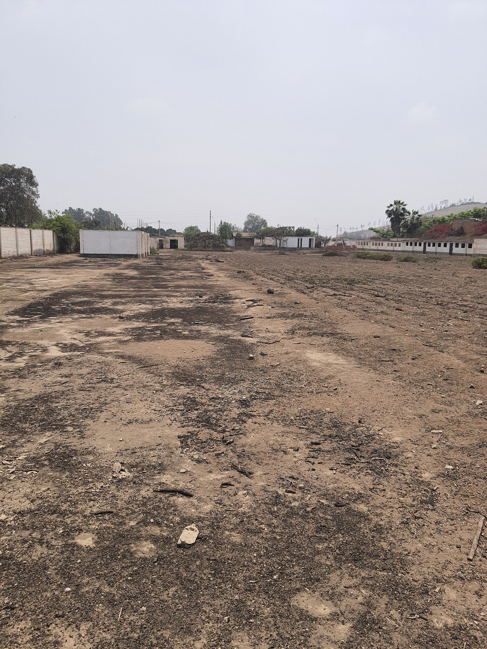 Vendo Terreno en Pachacamac