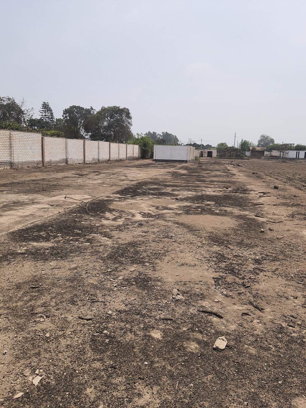 Vendo Terreno en Pachacamac