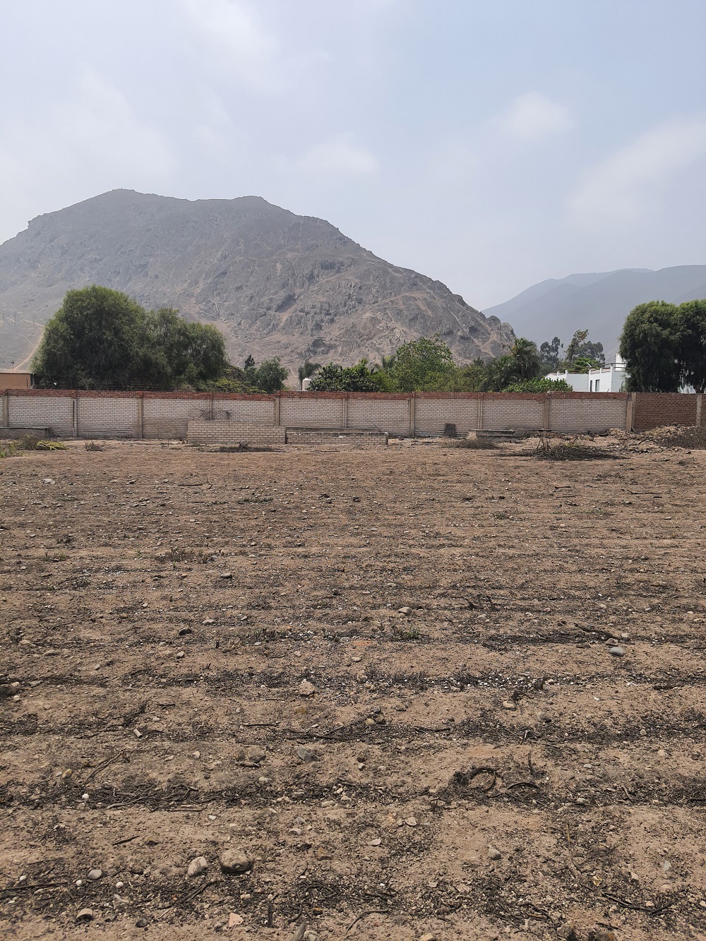 Vendo Terreno en Pachacamac