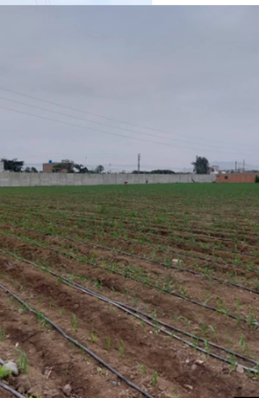 VENTA DE TERRENO INDUSTRIAL  EN AVENIDA - CERCADO - CHANCAY -HUARAL
