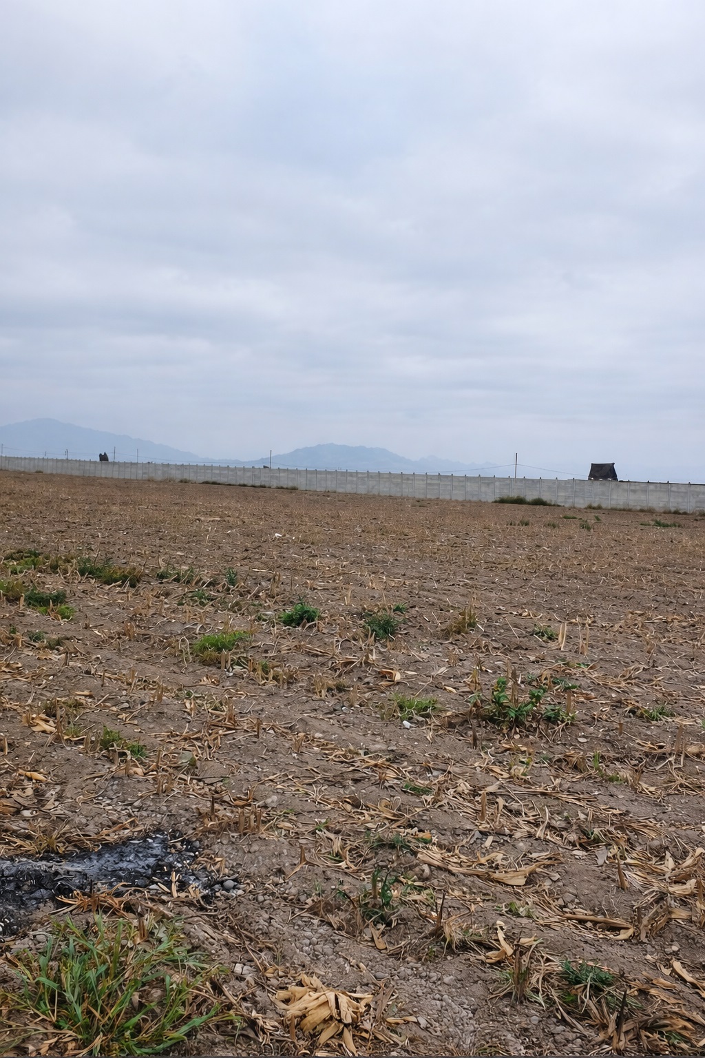 VENTA DE TERRENO INDUSTRIAL  EN AVENIDA - CERCADO - CHANCAY -HUARAL