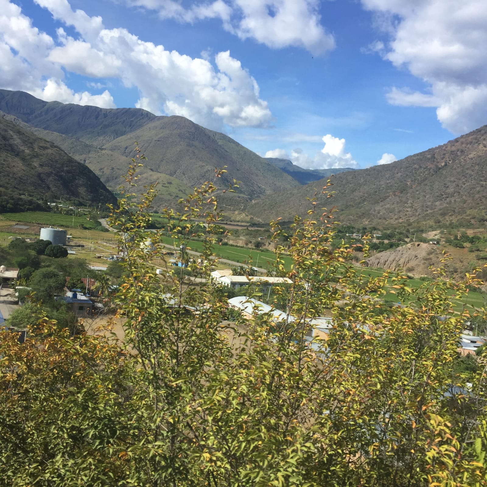 CAJAMARCA JAEN 9,400 Has. TERRENO AGRICOLA MINERO