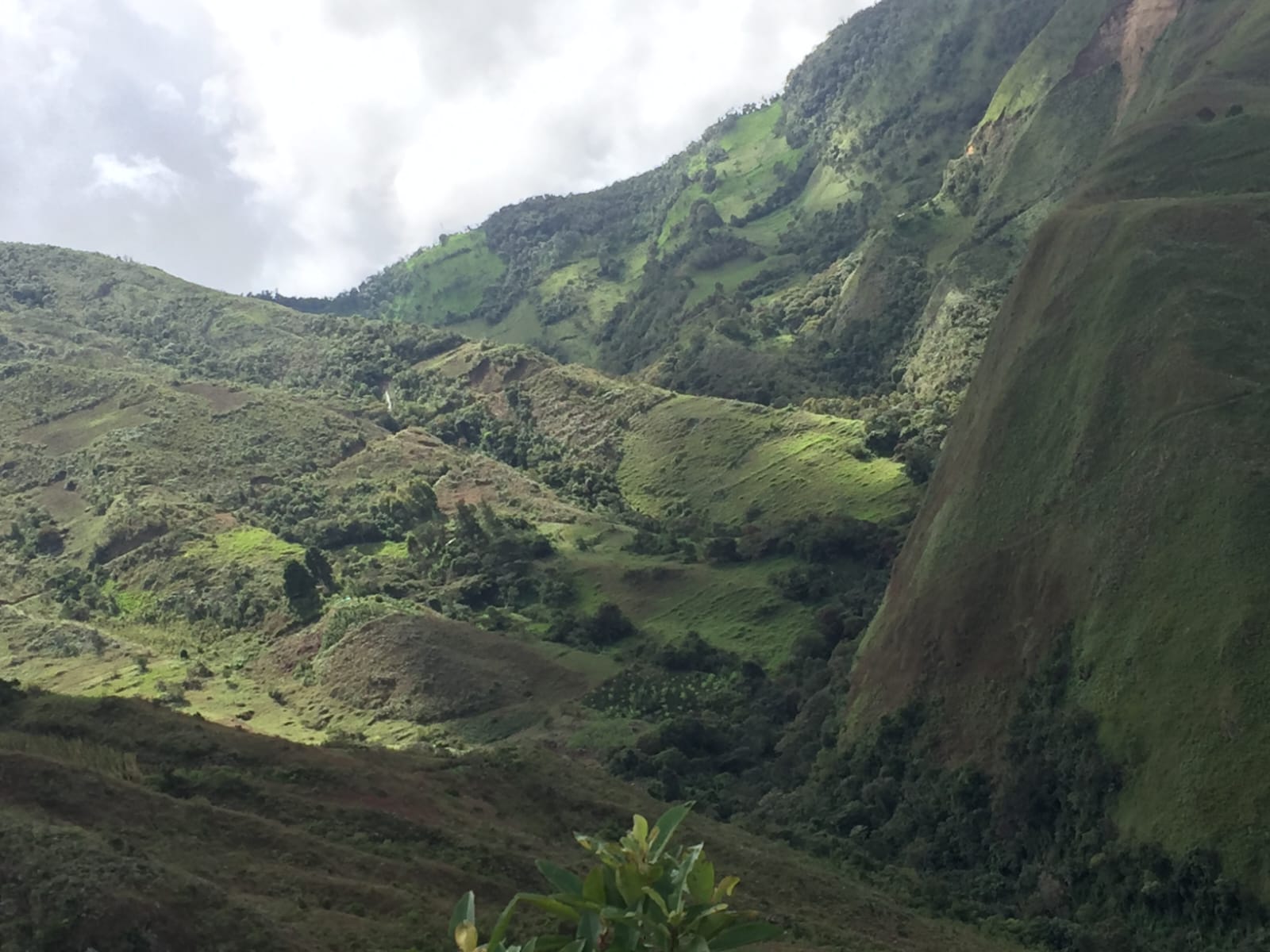 CAJAMARCA JAEN 9,400 Has. TERRENO AGRICOLA MINERO