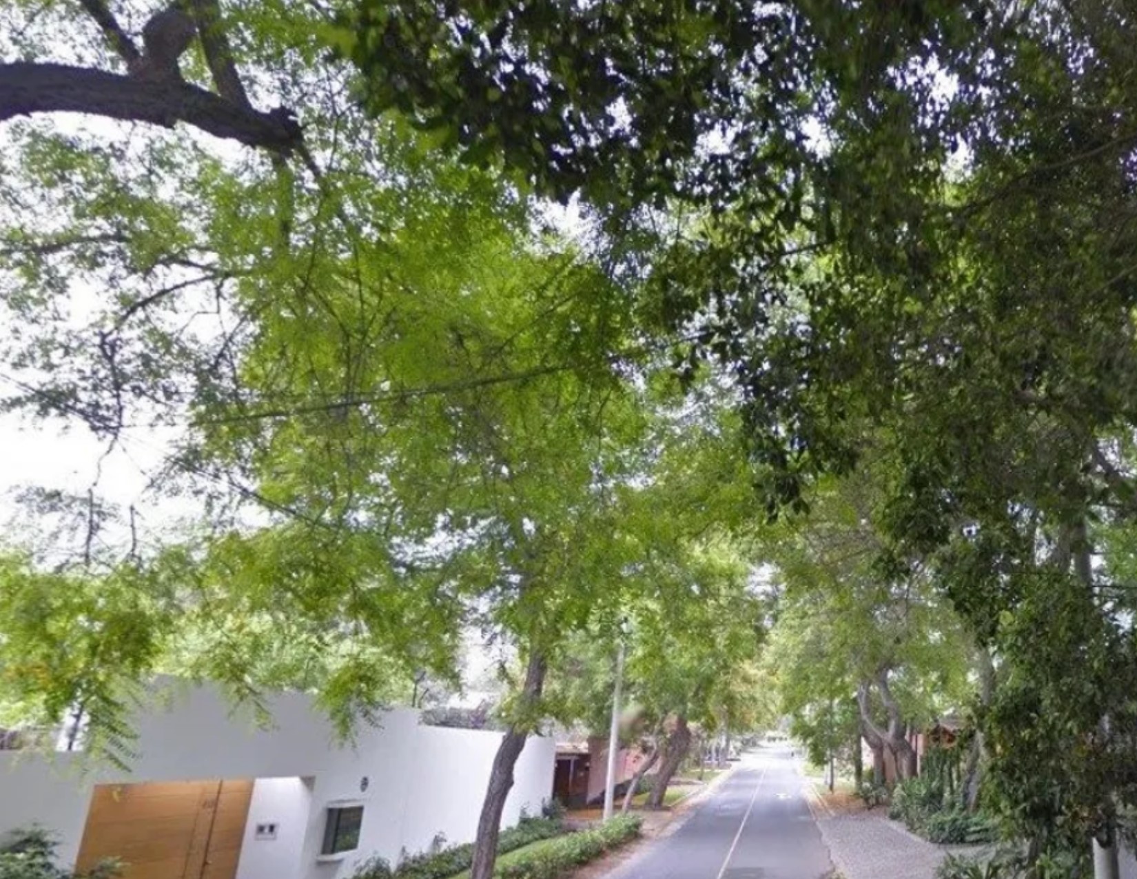 Terreno en La Planicie, primera etapa