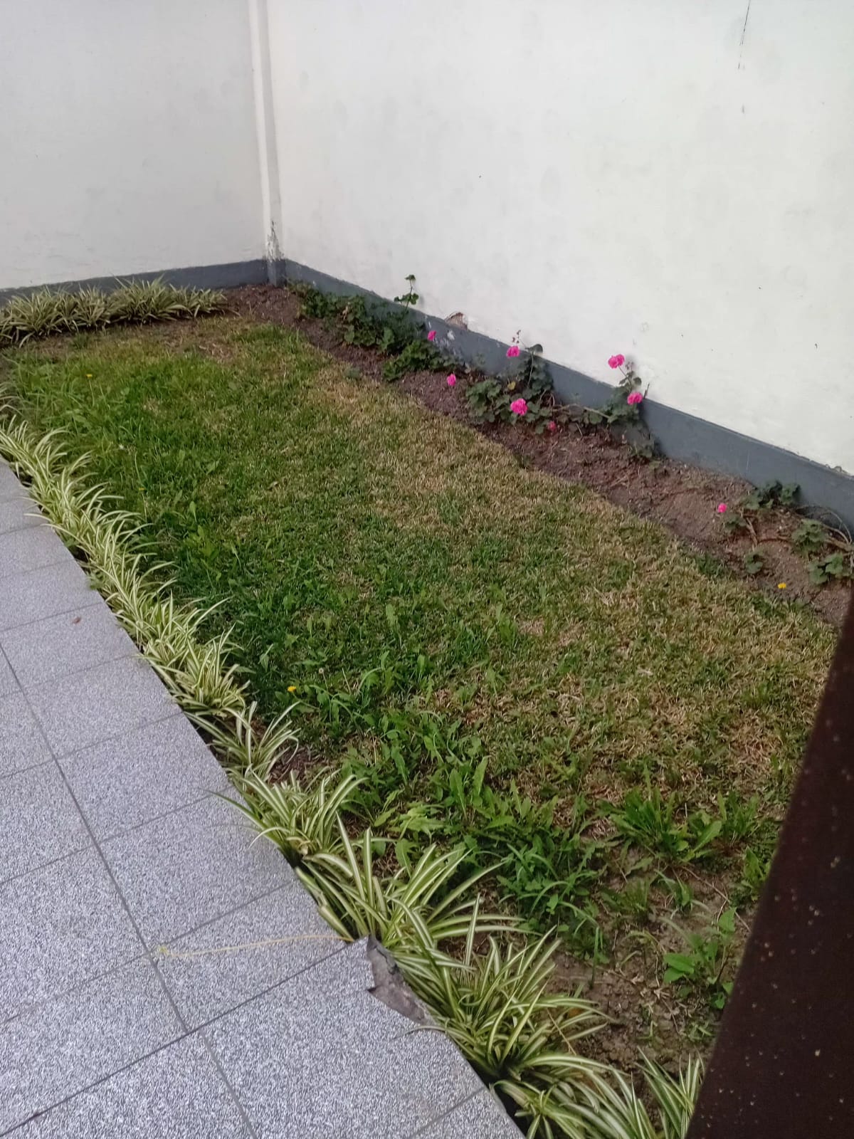 JARDINERA COSTADO DE LASCOCHERAS
