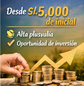 PROYECTO MARVENTO