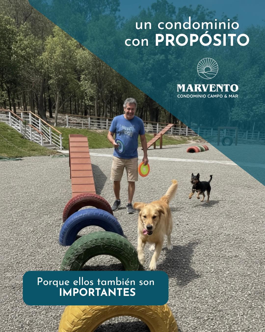 PROYECTO MARVENTO