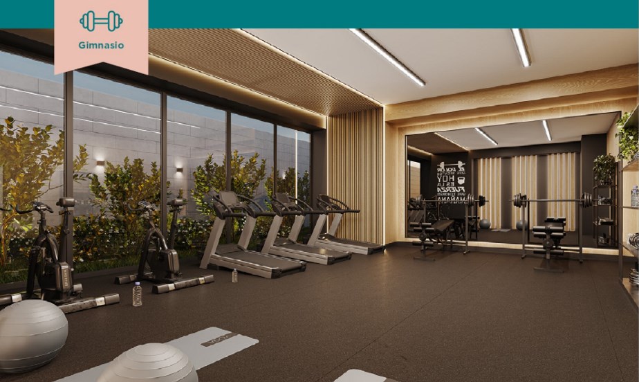 Gimnasio
